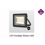 EVE LED Flood Light Wisdom สปอร์ตไลท์ อีฟ แอลอีดี รุ่น Wisdom 30W