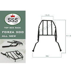แร็คท้ายมอเตอร์ไซค์ Forza 300 All New