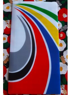 ซองใส่แมส ซองใส่หน้ากาก Size : 115 x 220 mm MADE IN JAPAN