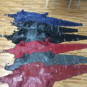 หมวดหมู่ตัวอย่าง