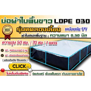 บ่อผ้าใบพื้นขาว รุ่นทดลองเลี้ยง : แบบตอกตาไก่ [ ผ้าใบสเปคพื้นฐาน LDPE 0.30 ] ความหนา 0.30 มิล เคลือบกัน Uv 1 ชั้น
