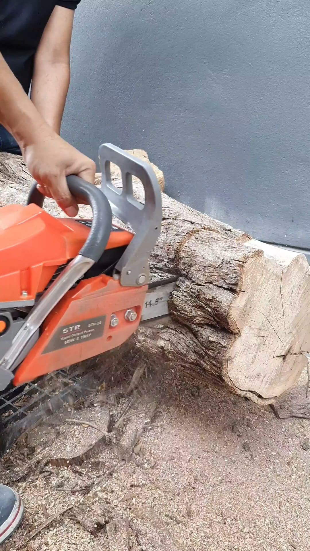 เลื่อยยนต์ STR 2 จังหวะ รุ่น 2 เเหวน 2 ท่อไอเสีย บาร์ 2 อัน โซ่ 3 เส้น