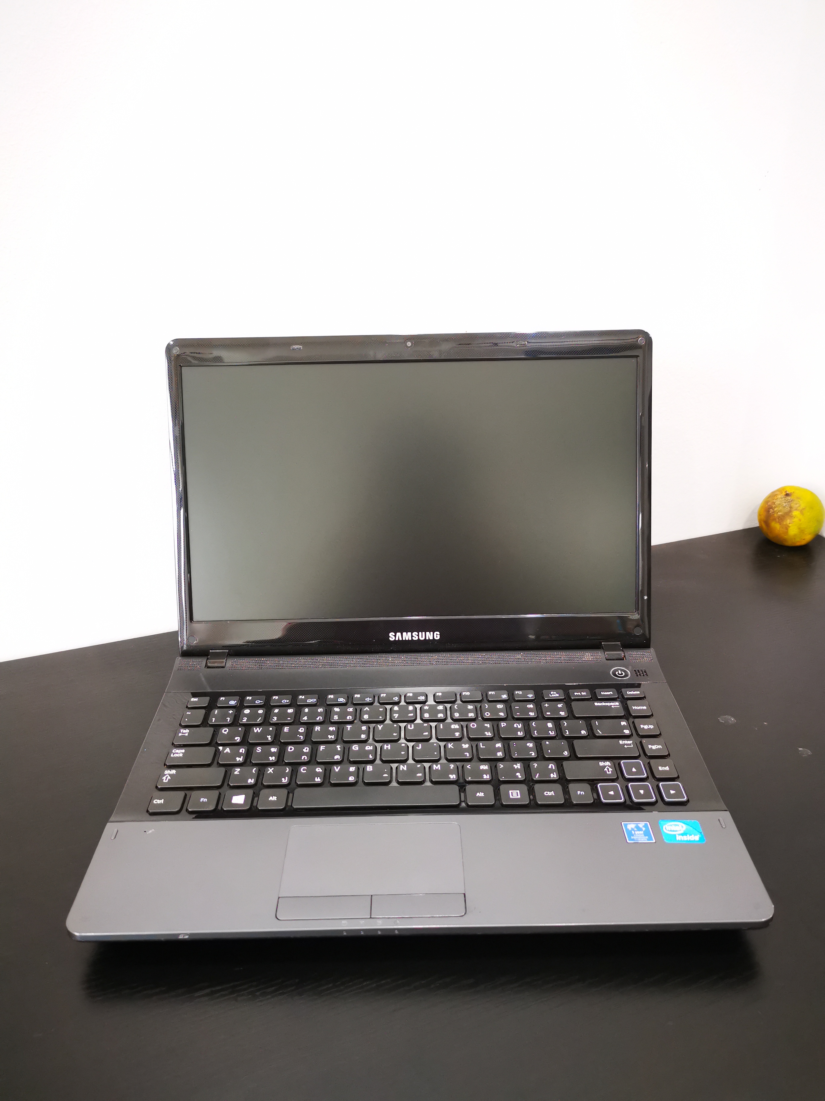 Samsung NP300E4X