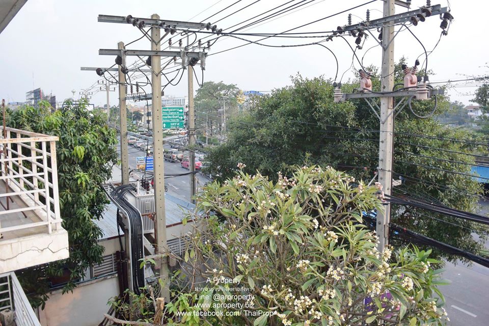 ขาย คอนโดบ้านร่มไม้ สนามบินน้ำ