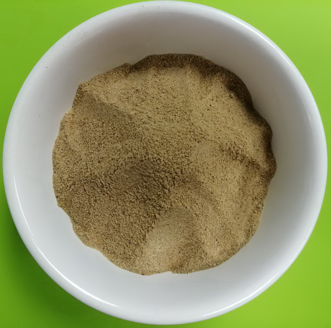 Squid Powder 100% (ปลาหมึกผง 100%)