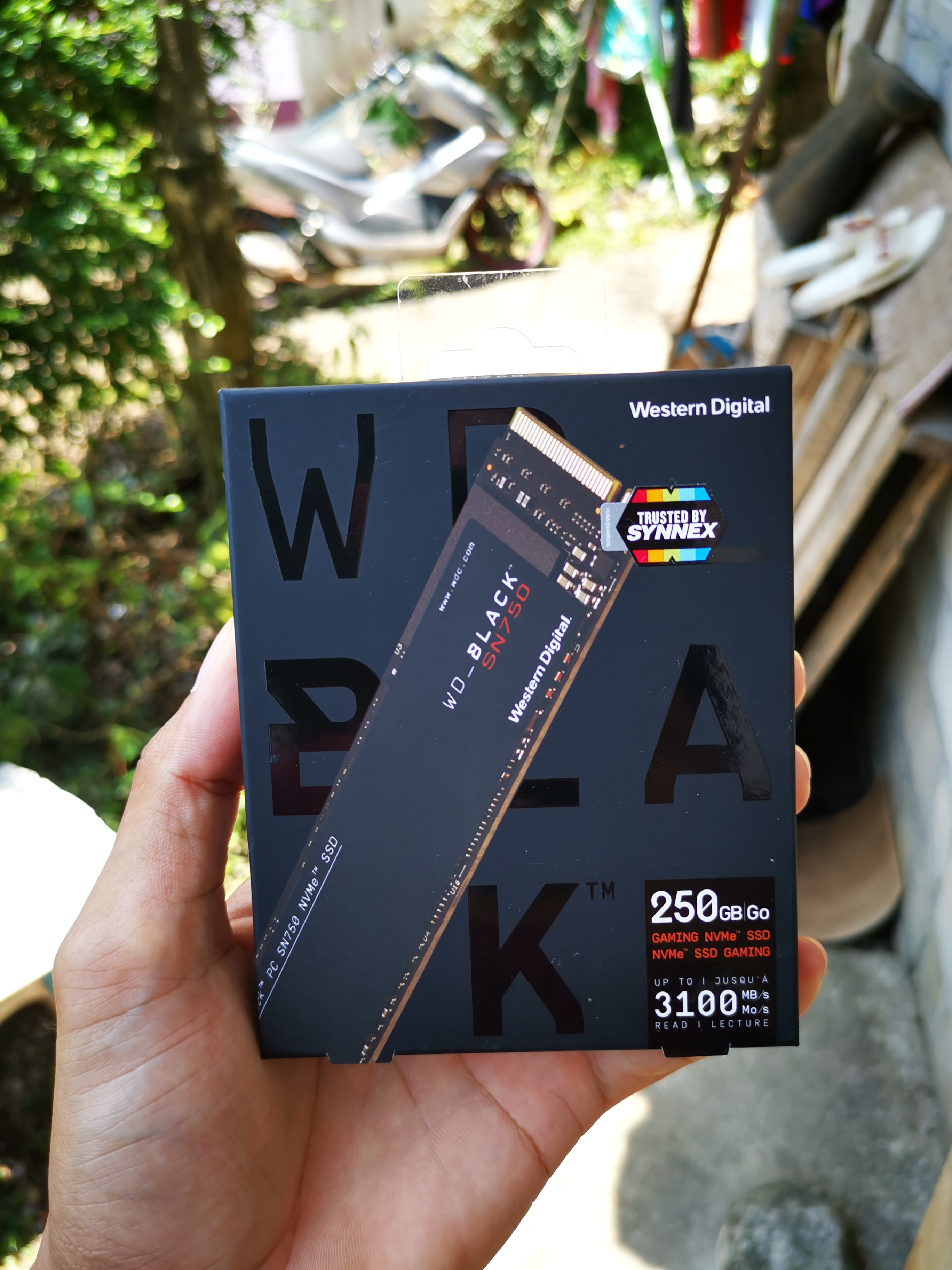 SSD M.2 NVMe WD Black SN750 250 GB