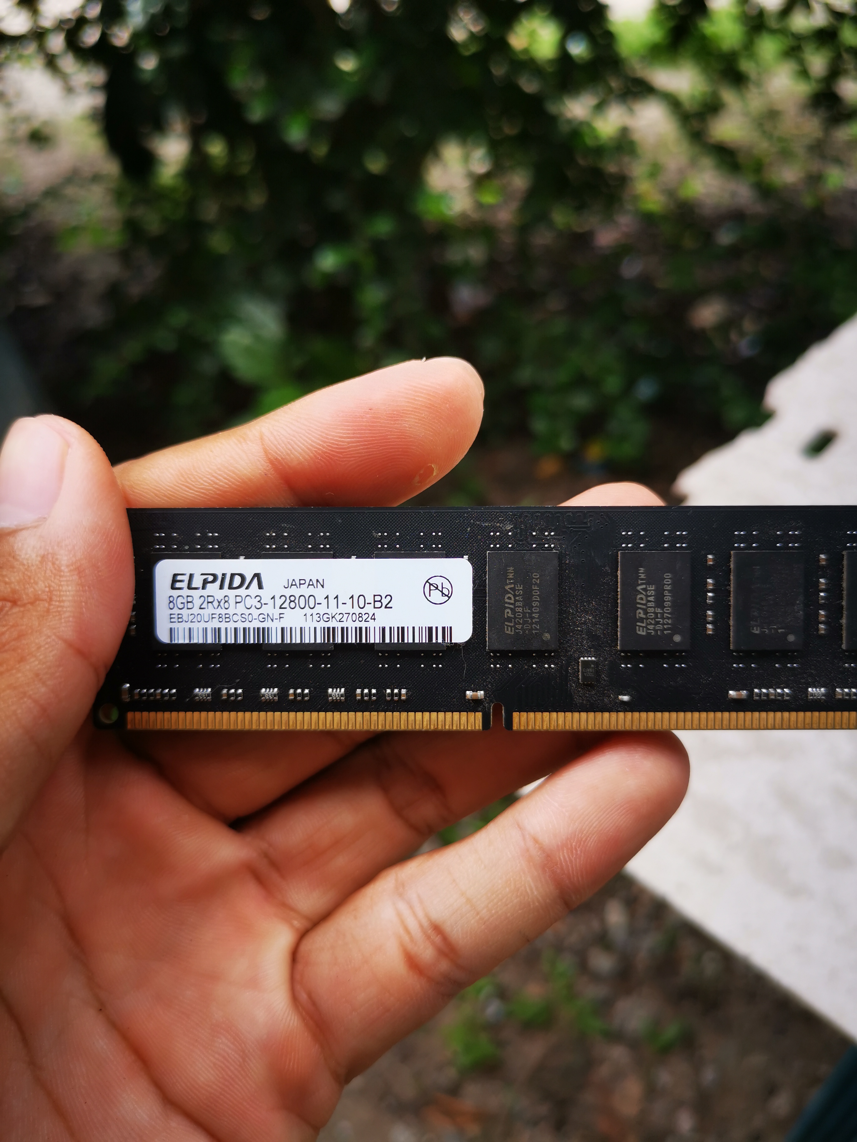 Ram elpida DDR3 8G Bus1600