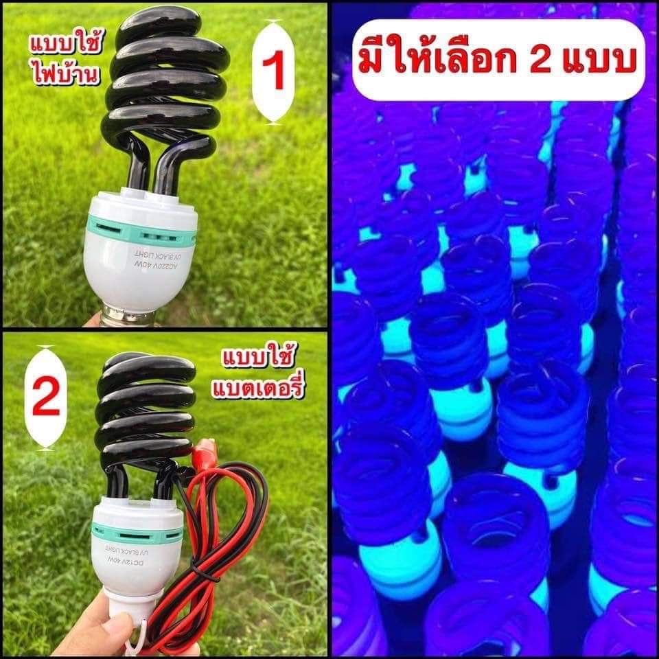 หลอดไฟแบล็คไลท์ ล่อแมลงแท้ ล่อแมลงบินทุกชนิด
