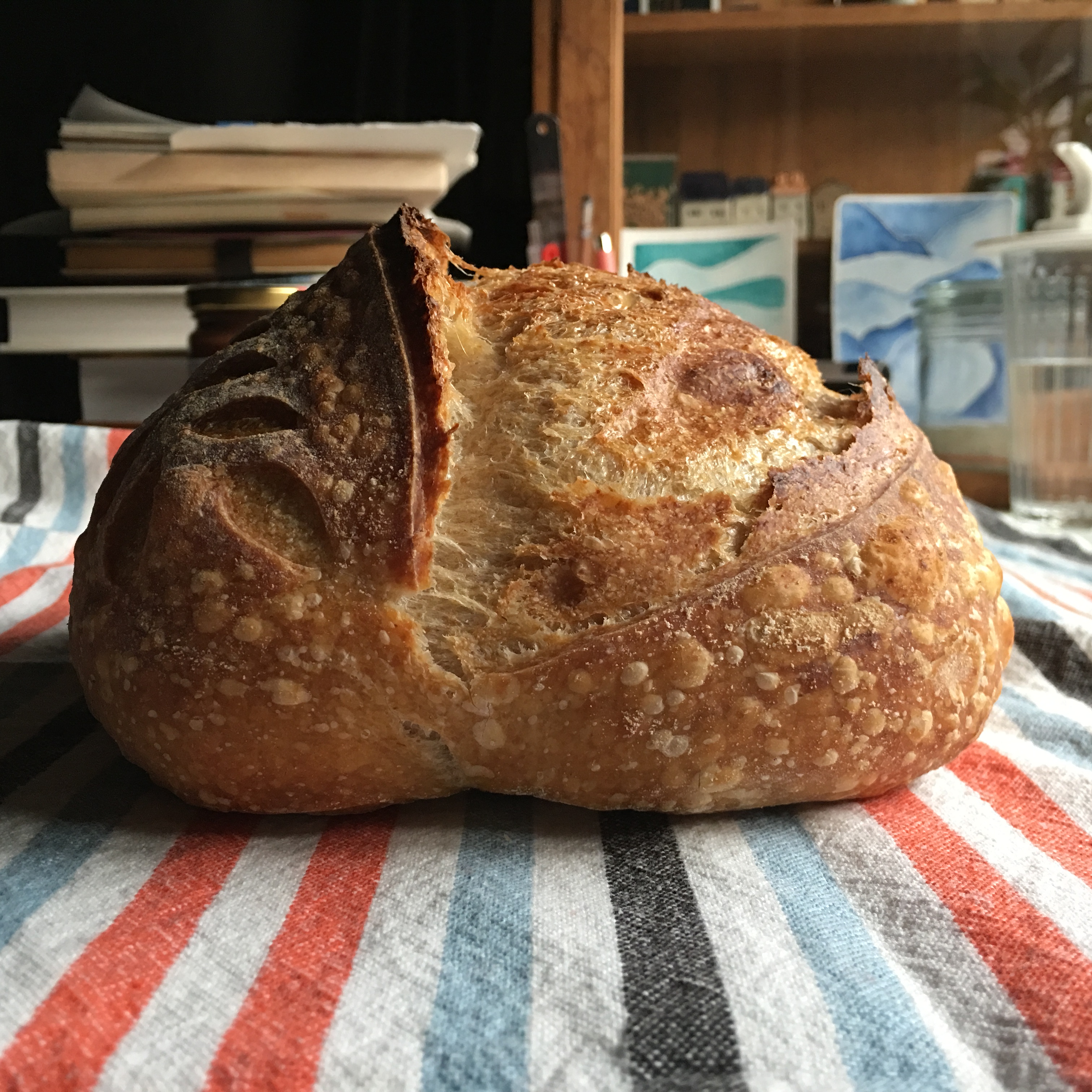 Ⓥ Country Sourdough (16% Whole Wheat, Vegan)