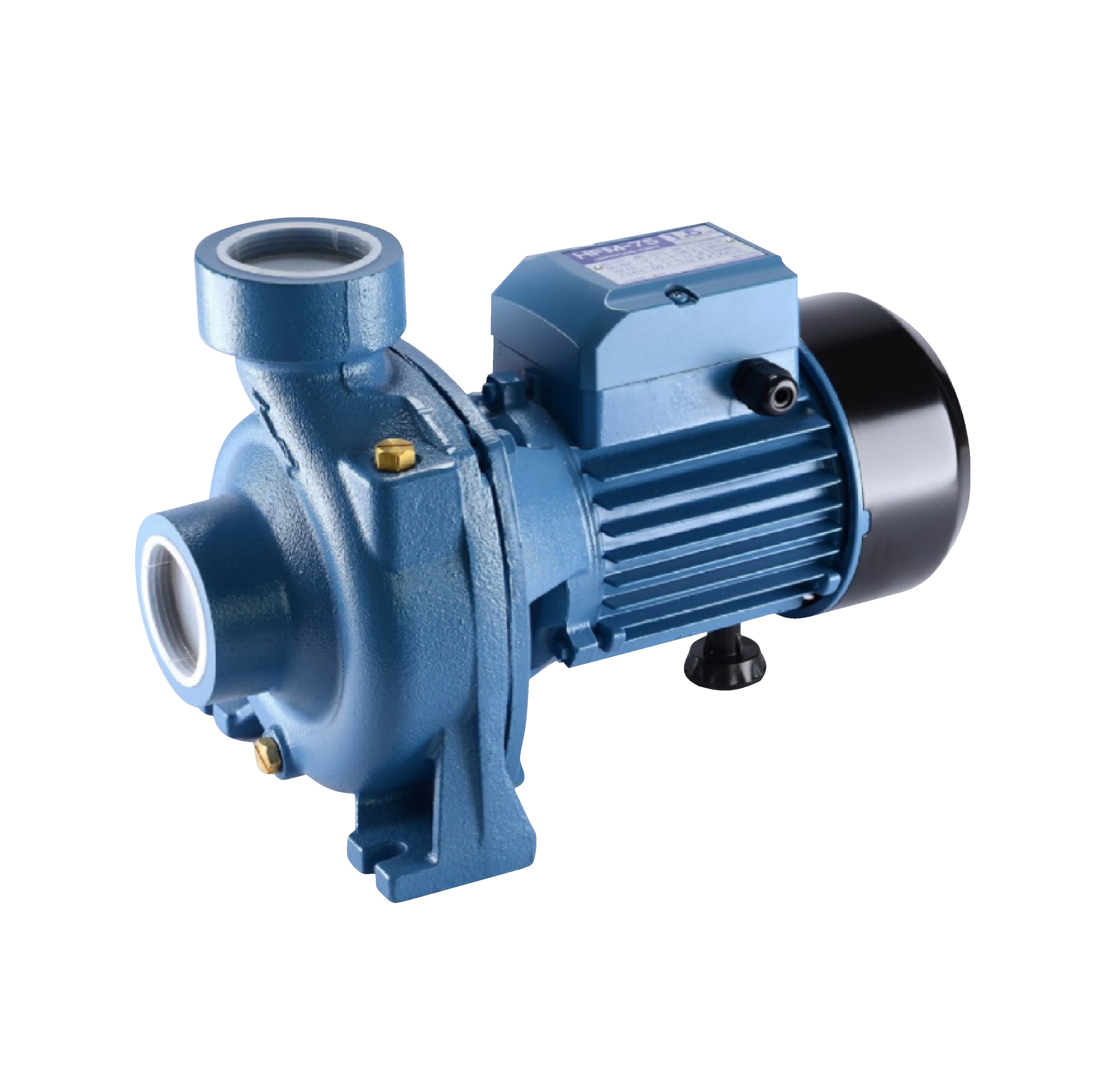 SAXON ปั้มหอยโข่ง 1.5Hp 2x2 รุ่น SX-HFM-75