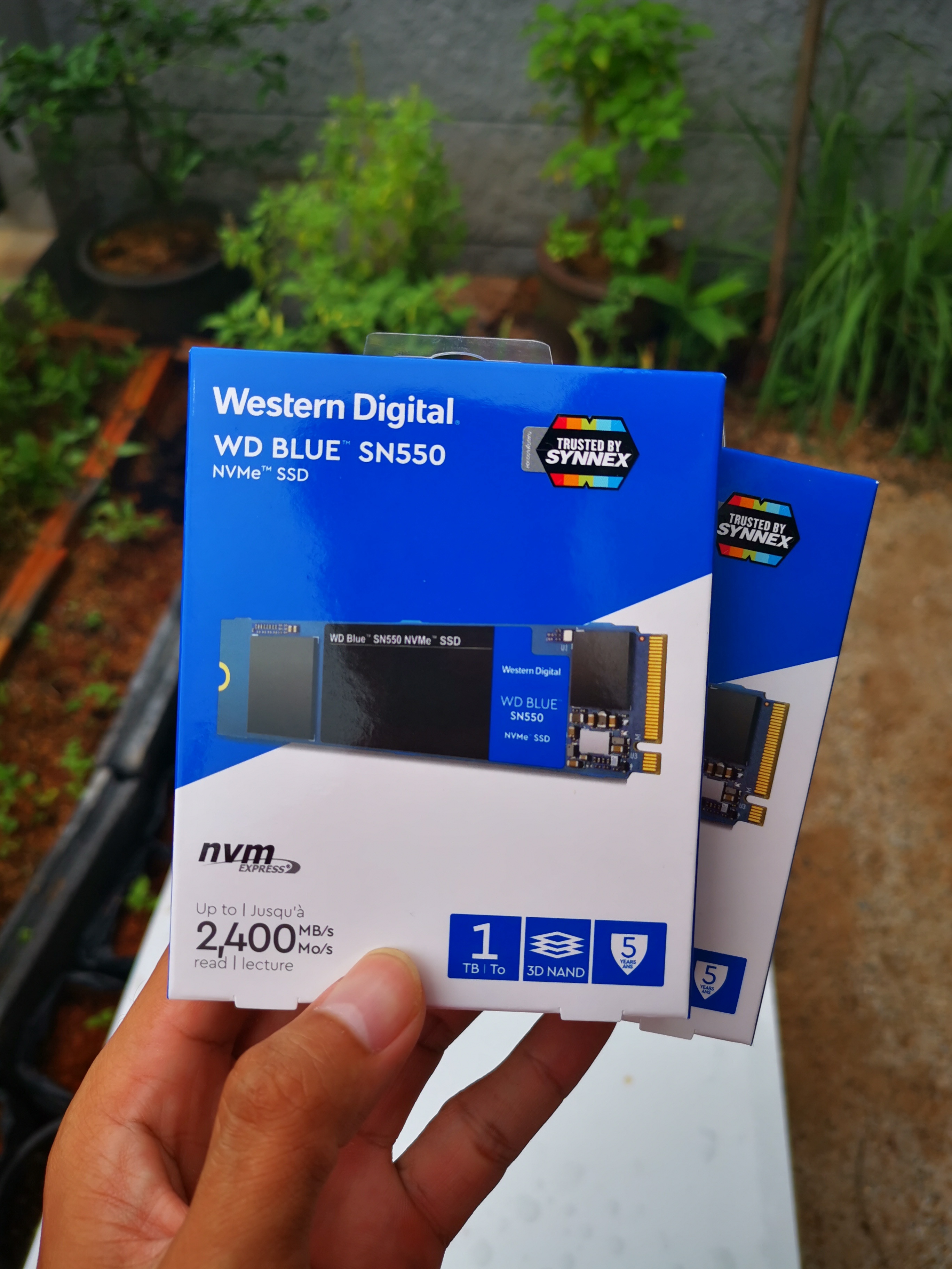 SSD M.2 PCIe/NVMe WD BLUE SN550 1 TB