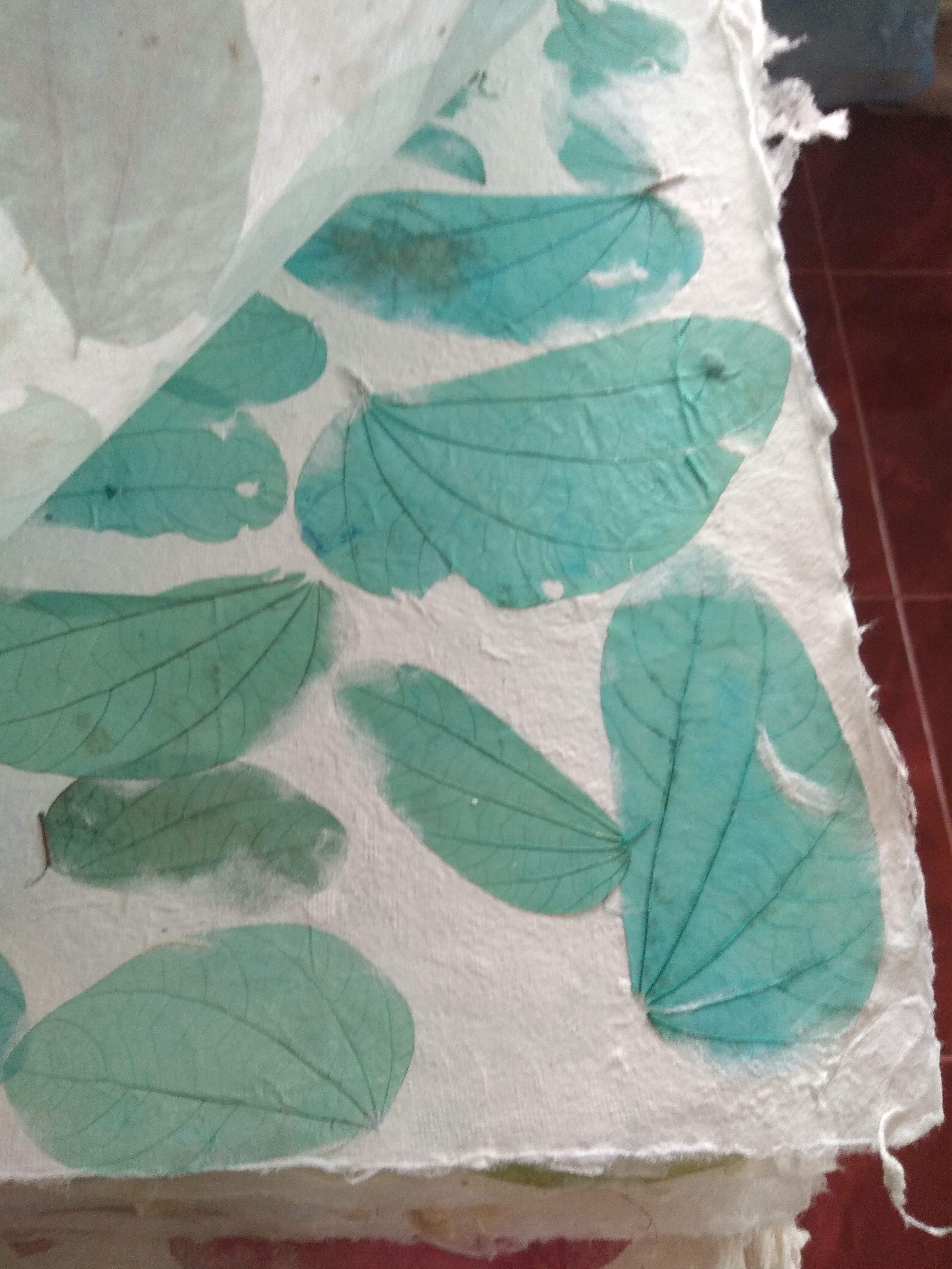 กะดาษสา ใส่ใบไม้ มีทุกสี