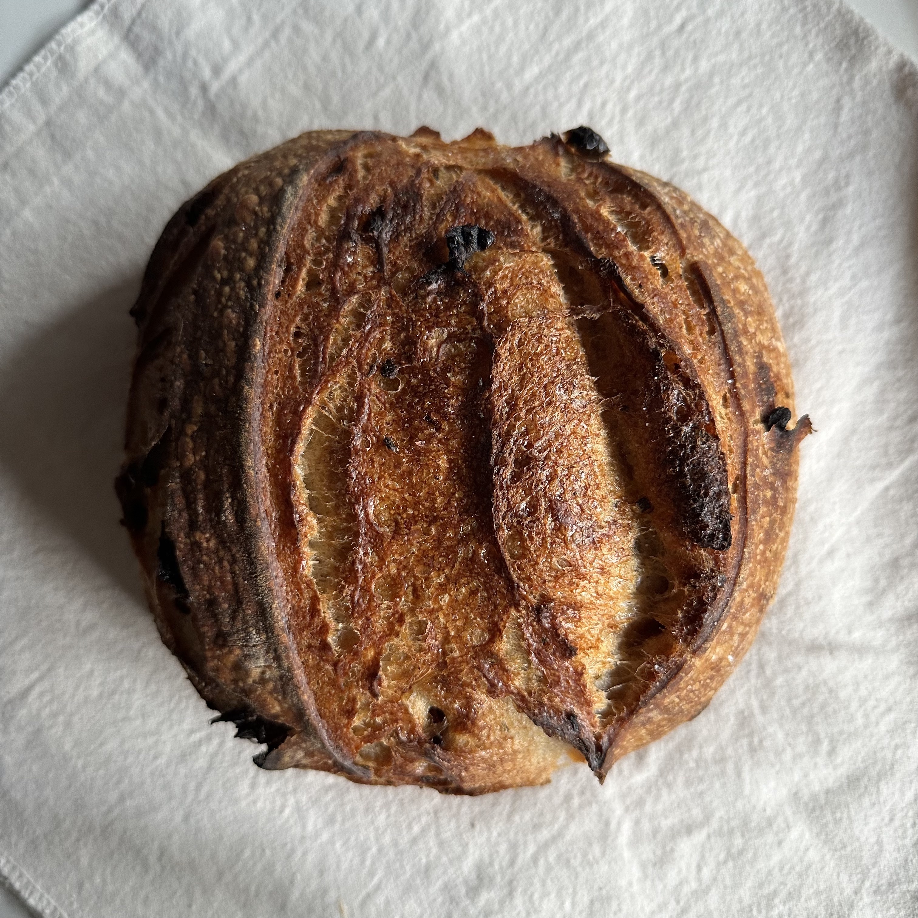 Ⓥ Sun-dried Tomato & Rosemary Sourdough Loaf or Tin (16% Whole Wheat, Vegan)