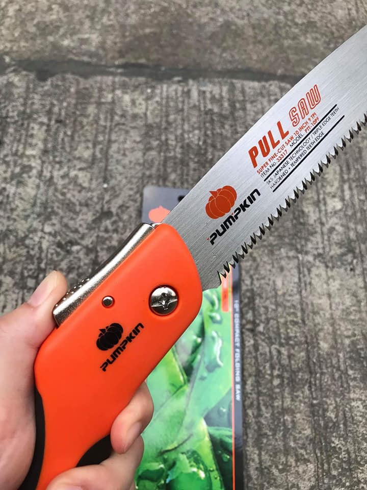PUMPKIN เลื่อยพลูซอ 10 นิ้ว