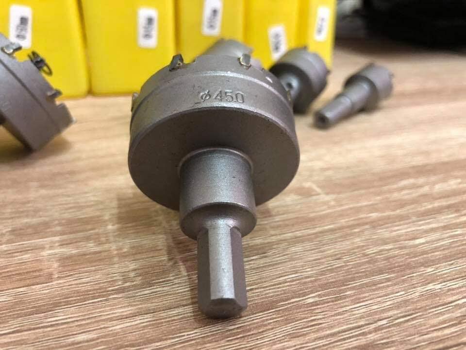 ดอกโฮลซอคาร์ไบท์ 6 ตัวชุด