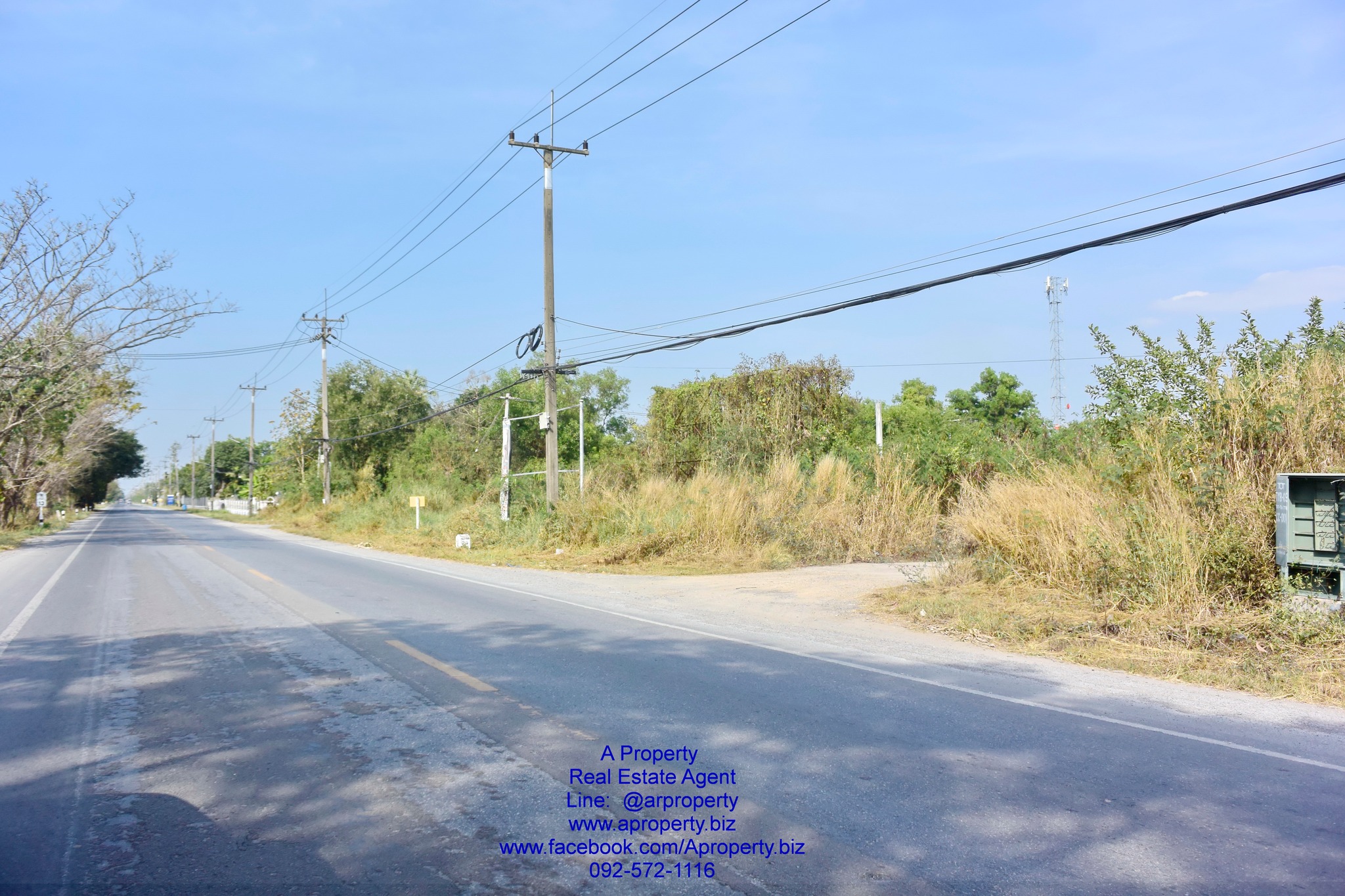 ขายที่ดินเปล่า ต. บึงกาสาม หนองเสือ ปทุม ถูกมาก เหมาะสร้างที่อยู่อาศัย