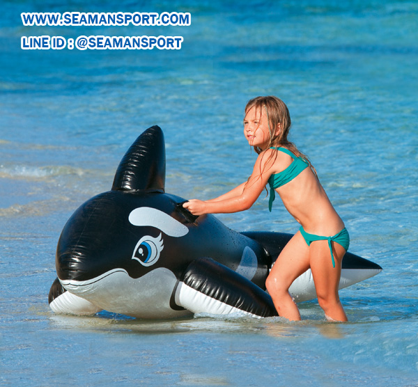 INTEX 58561 แพยางว่ายน้ำเด็กรูปปลาวาฬเพชรฆาต