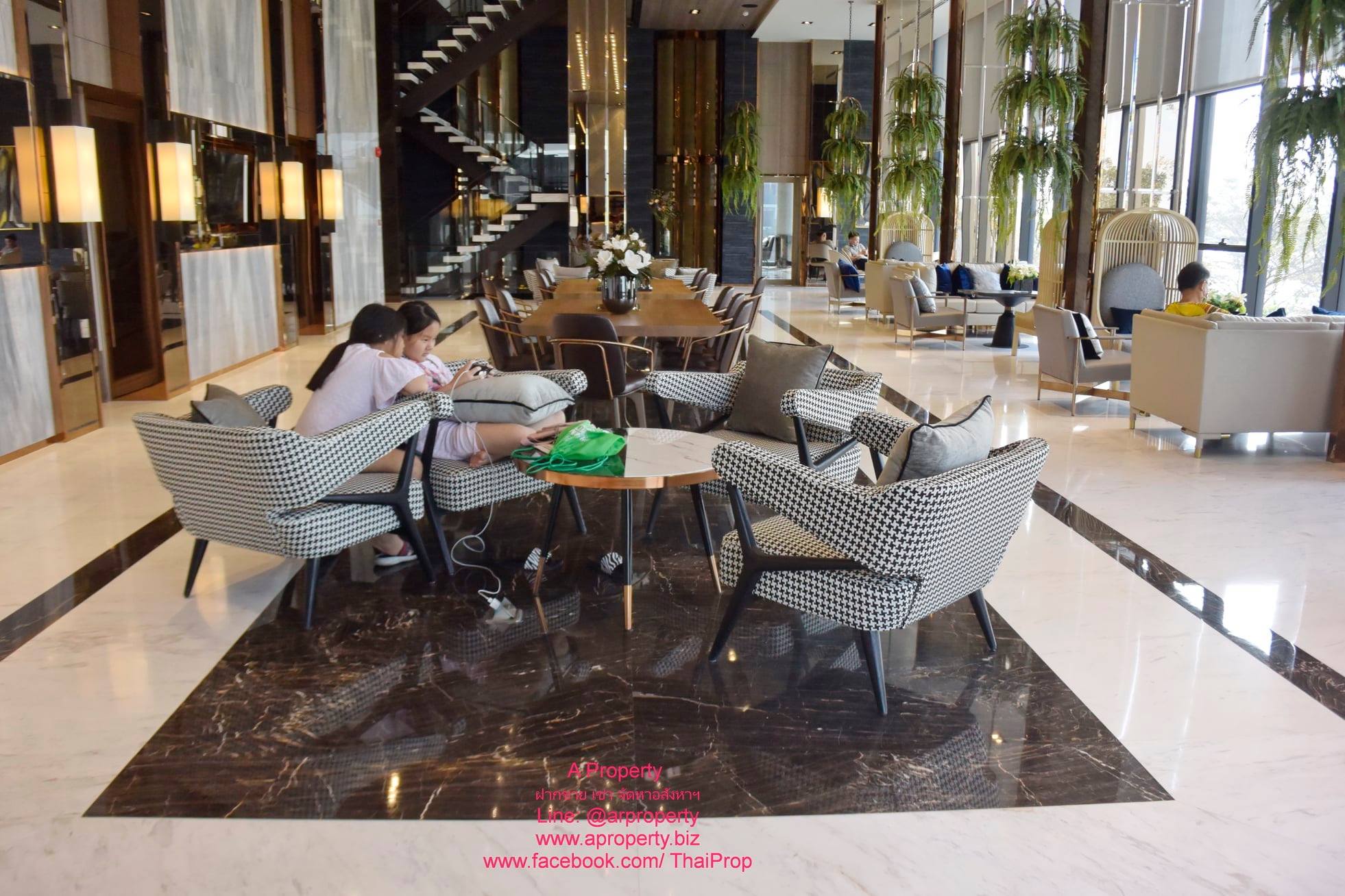 The Politan Aqua