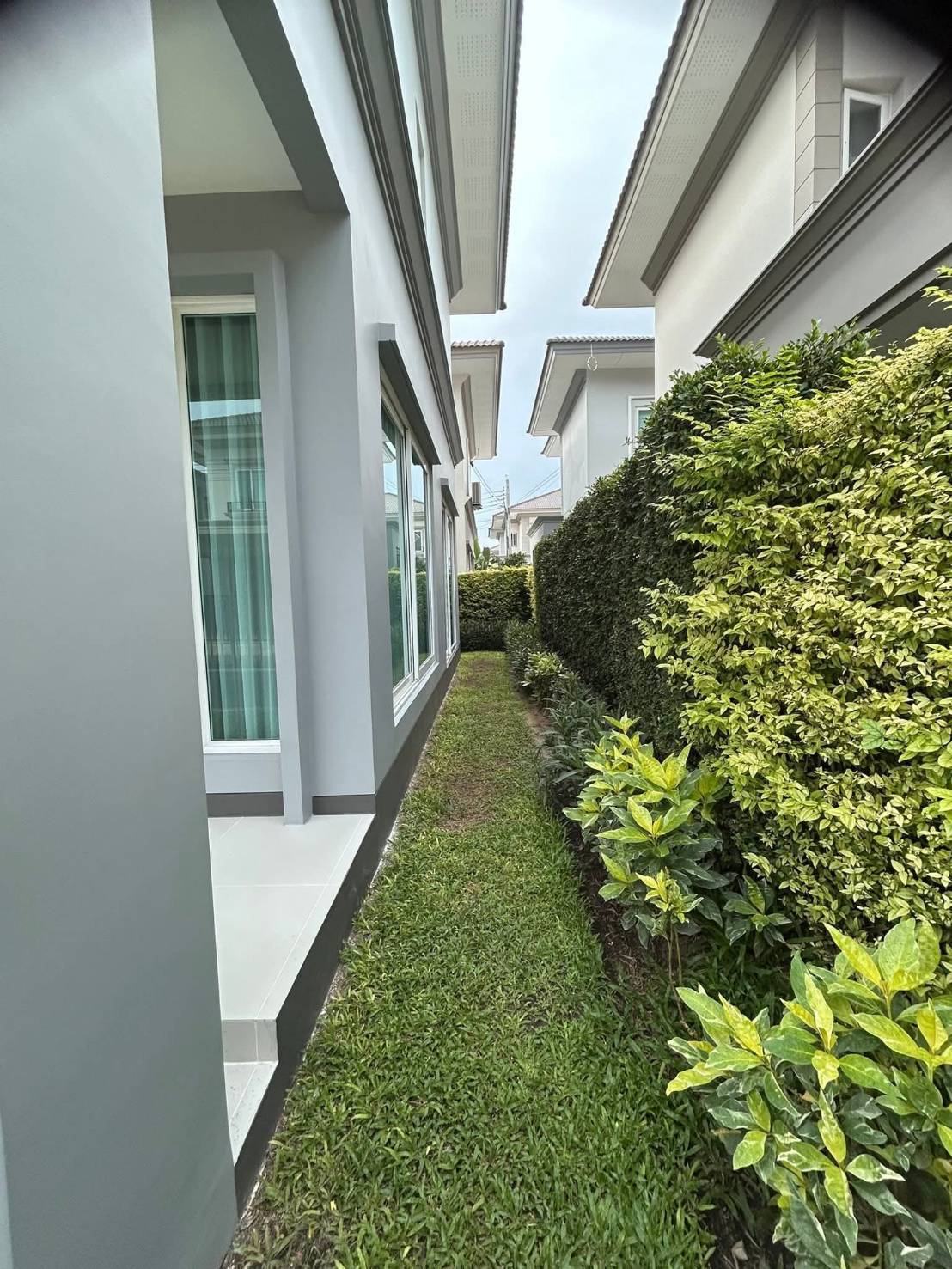 บ้านเดี่ยวหรูให้เช่า แกรนดิโอ เพชรเกษม81