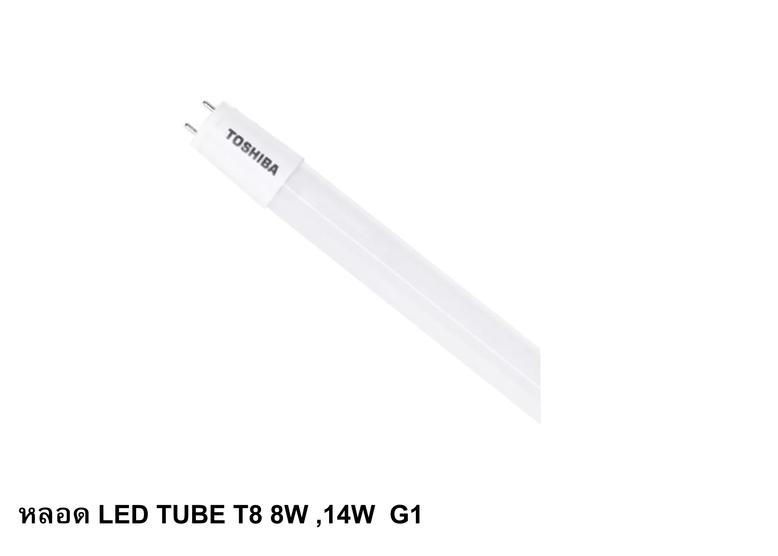 หลอด LED TUBE ECO T8 8W ,14W G1 TOSHIBA