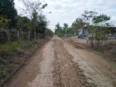 ขายที่ ดินเปล่า 100 ต.ร.ว คลองขวาง ไทรน้อย