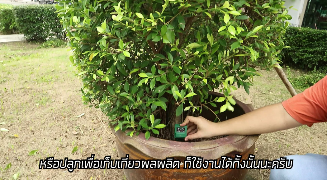 SOILMETER เครื่องวัดค่ากรด-ด่างในดิน