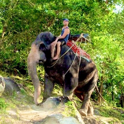 Elephant Trekking 1.0 hr
