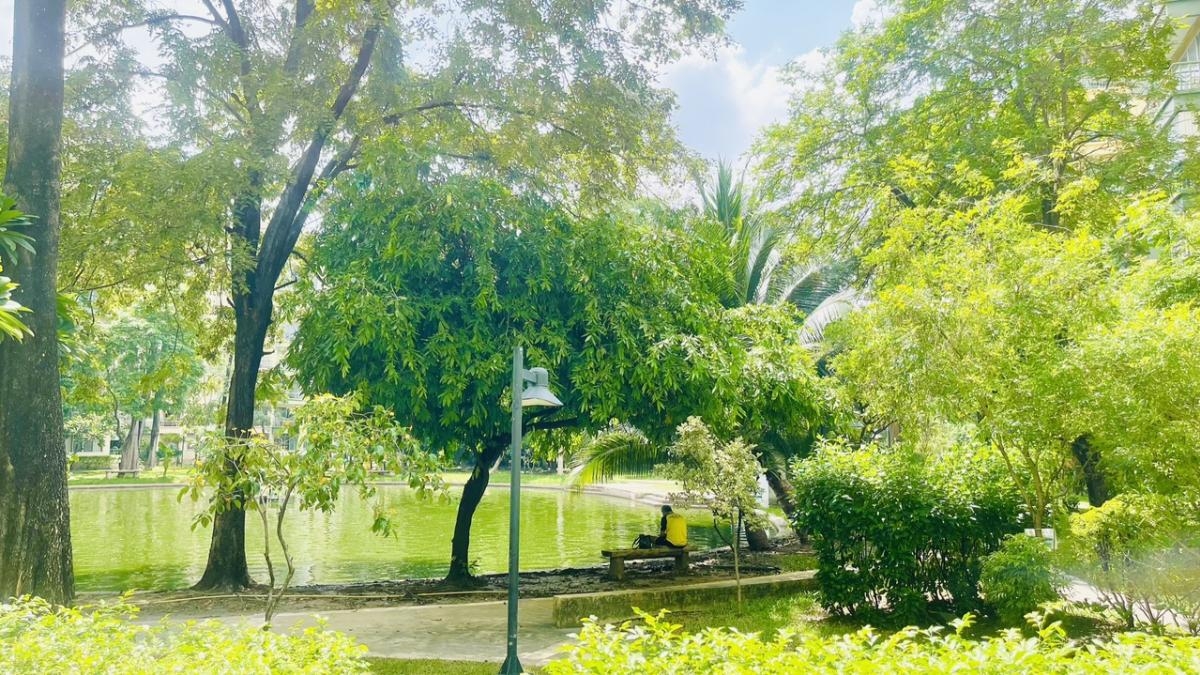 ให้เช่าคอนโด The Parkland Bangna