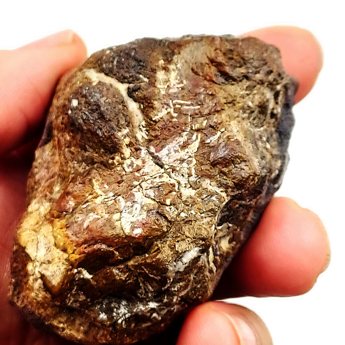 กระดูกไดโนเสาร์จากรัฐยูท่าห์ USA (Agatized Dinosaur Bone) 158กรัม