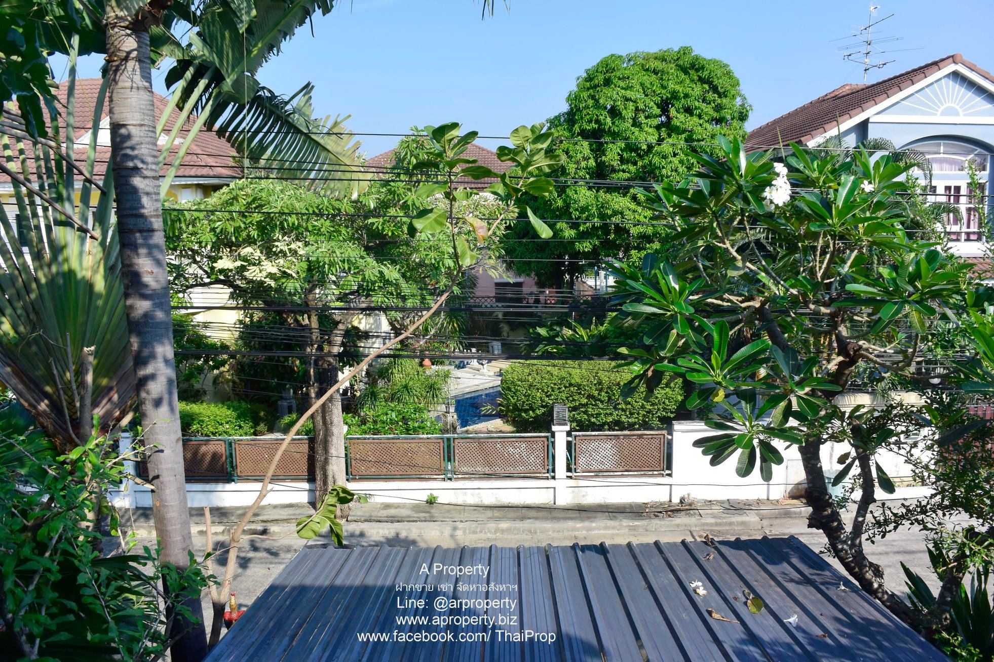 ให้เช่า บ้านเดี่ยวเพอร์เฟคเพลส ไทรม้า ( บางรักน้อย 16/3 )