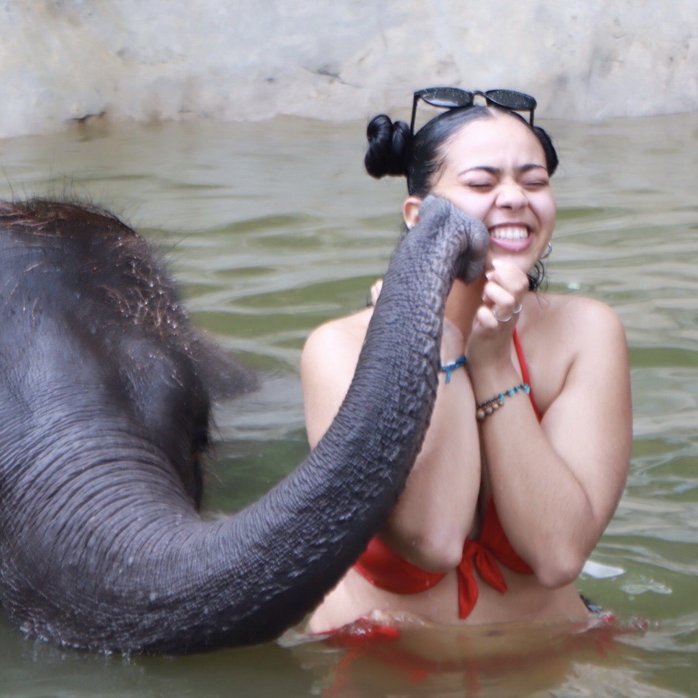 Elephant Bathing 30 Minutes