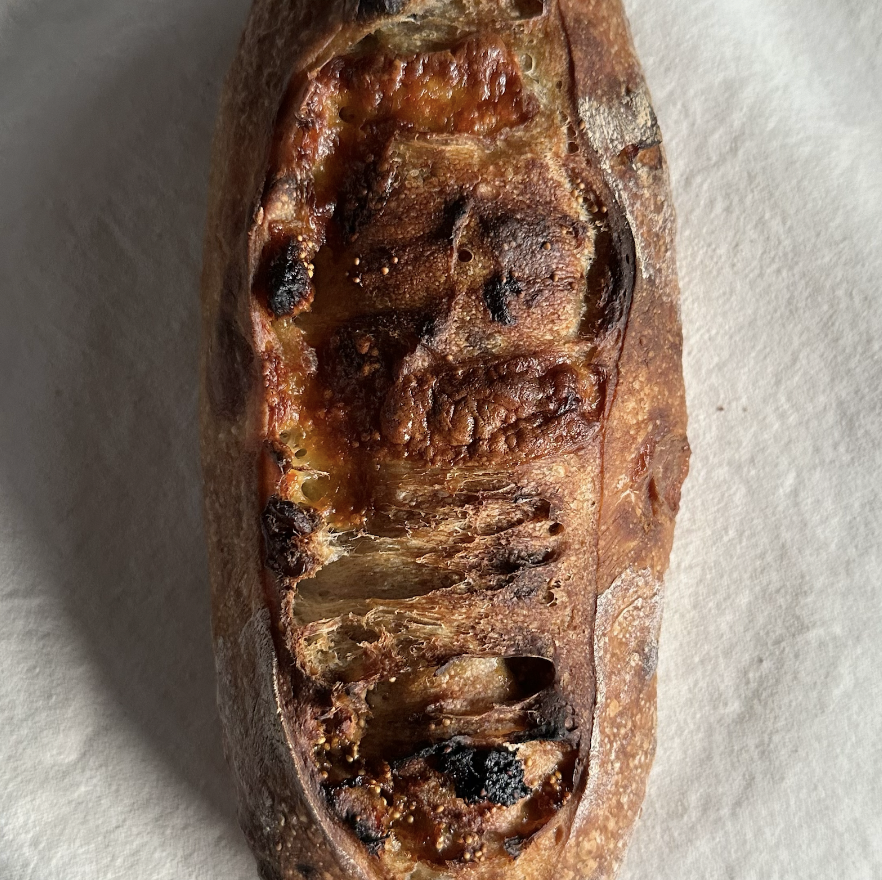 Fig Cheddar Walnut Sourdough loaf (16% Whole Grain)