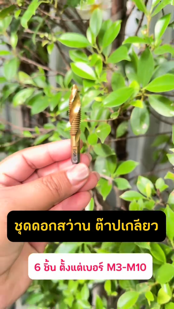 ชุดดอกสว่านต๊าปเกลียว HSS ( สีทอง ) ขนาด 6 ตัวชุด