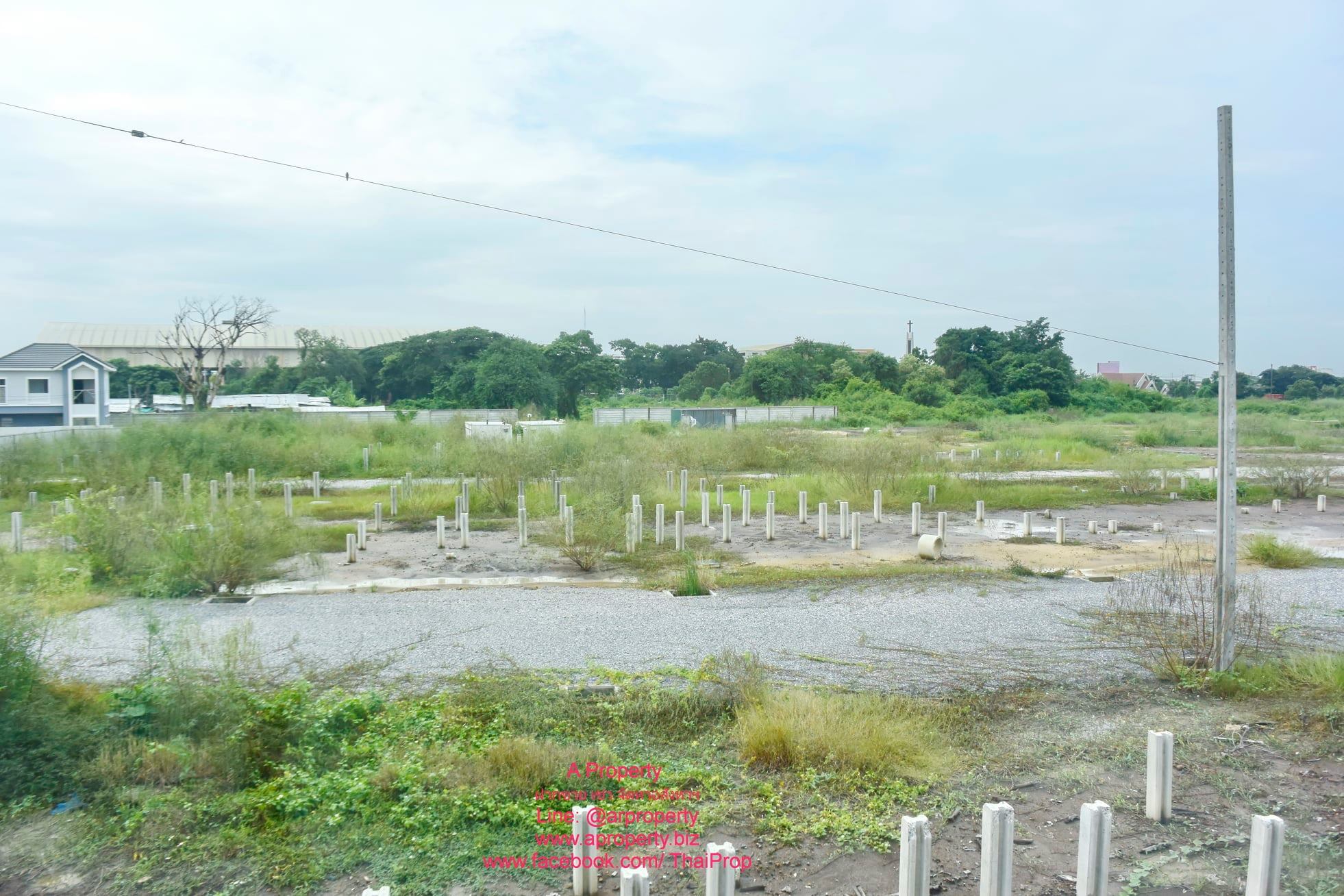 ให้เช่า ท/ฮ เจ ซิตี้ บ้านใกล้สวน ใกล้วัดเล่งเน่ยยี่ บางบังทอง