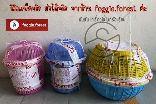 ตะกร้าใส่ต้นไม้