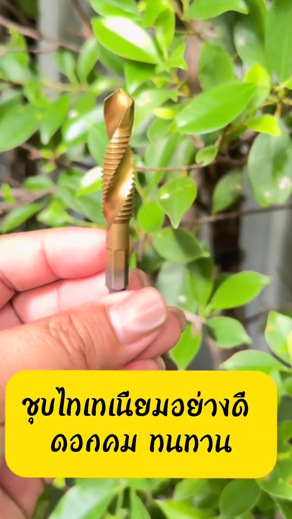 ชุดดอกสว่านต๊าปเกลียว HSS ( สีทอง ) ขนาด 6 ตัวชุด