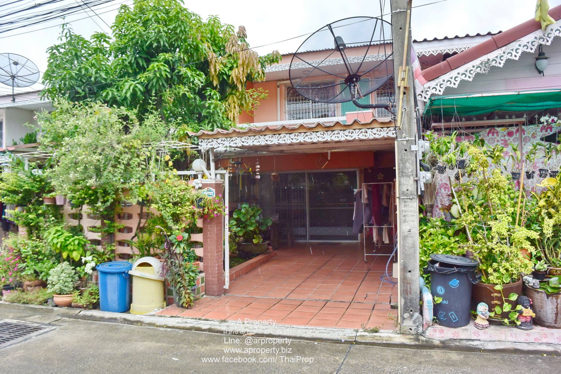 ให้เช่า ทาวน์เฮาส์แจ้งวัฒนะ 28 บรรยากาศร่มรื่น ( ห้ามเลี้ยงสัตว์ )