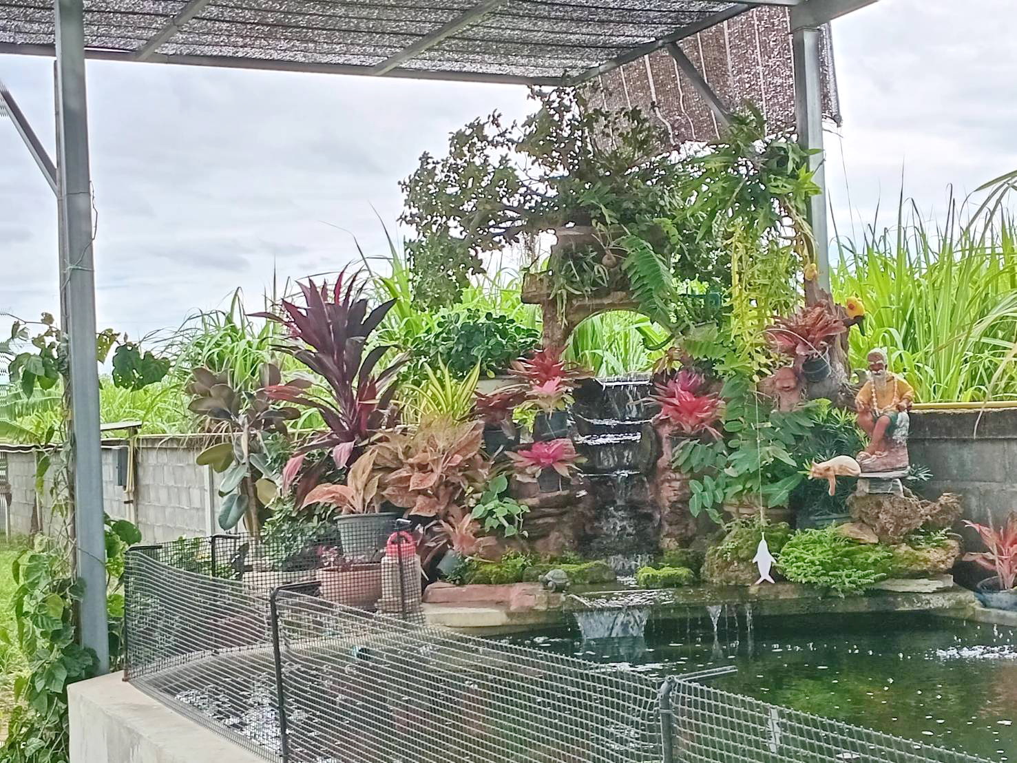 ขาย บ้านเดี่ยวหลังใหญ่ ฟื้นที่ทั้งหมด 3.5 ไร่ มีรั้วปูนล้อมรอบทั้งหมด ( บ้านโป่ง ราชบุรี 35 นาทีถึงกรุงเทพ )