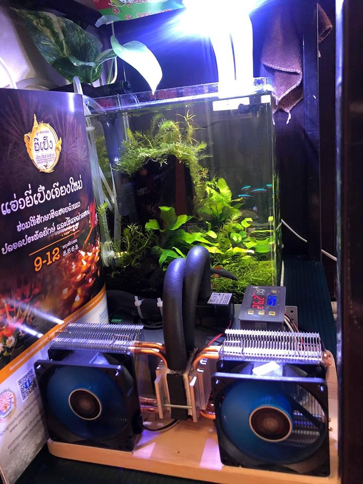 CoolPEX GEN 1 ชิลเลอร์ตู้ปลา 12 นิ้ว