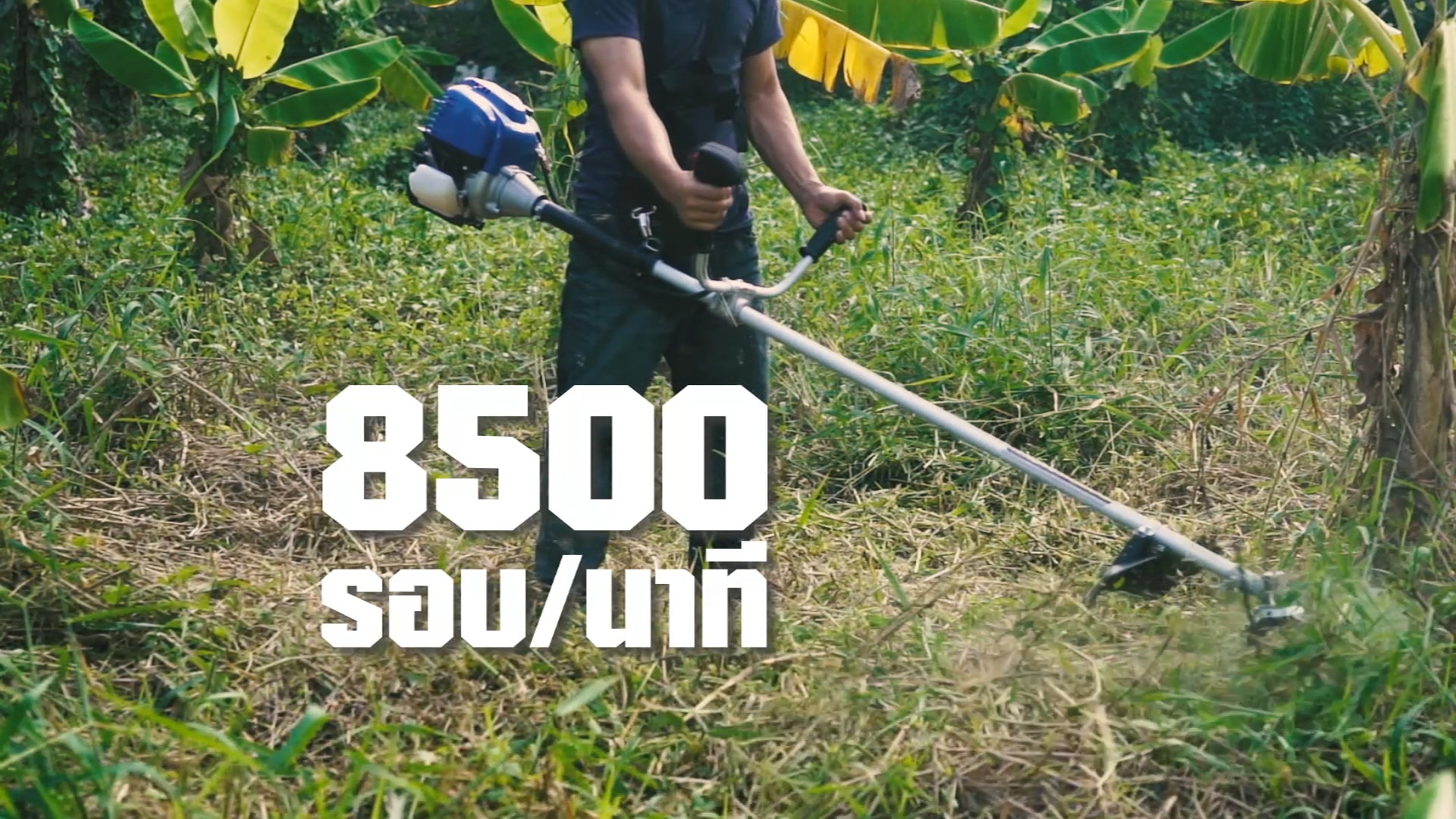 OSUKA เครื่องตัดหญ้า 4 แรงม้า OSUKA CT230