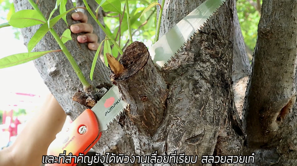 PUMPKIN เลื่อยพลูซอ 10 นิ้ว