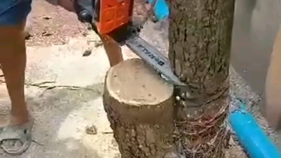 เลื่อยไฟฟ้า ยี่ห้อ BERALA 11.5 นิ้ว รุ่น BL-8115