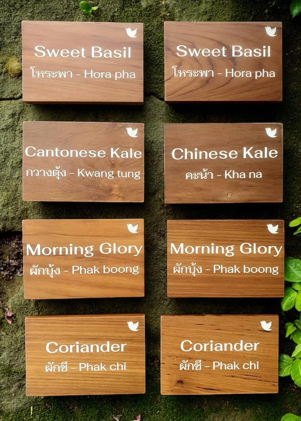 ป้ายชื่อต้นไม้ ป้ายปักชื่อต้นไม้