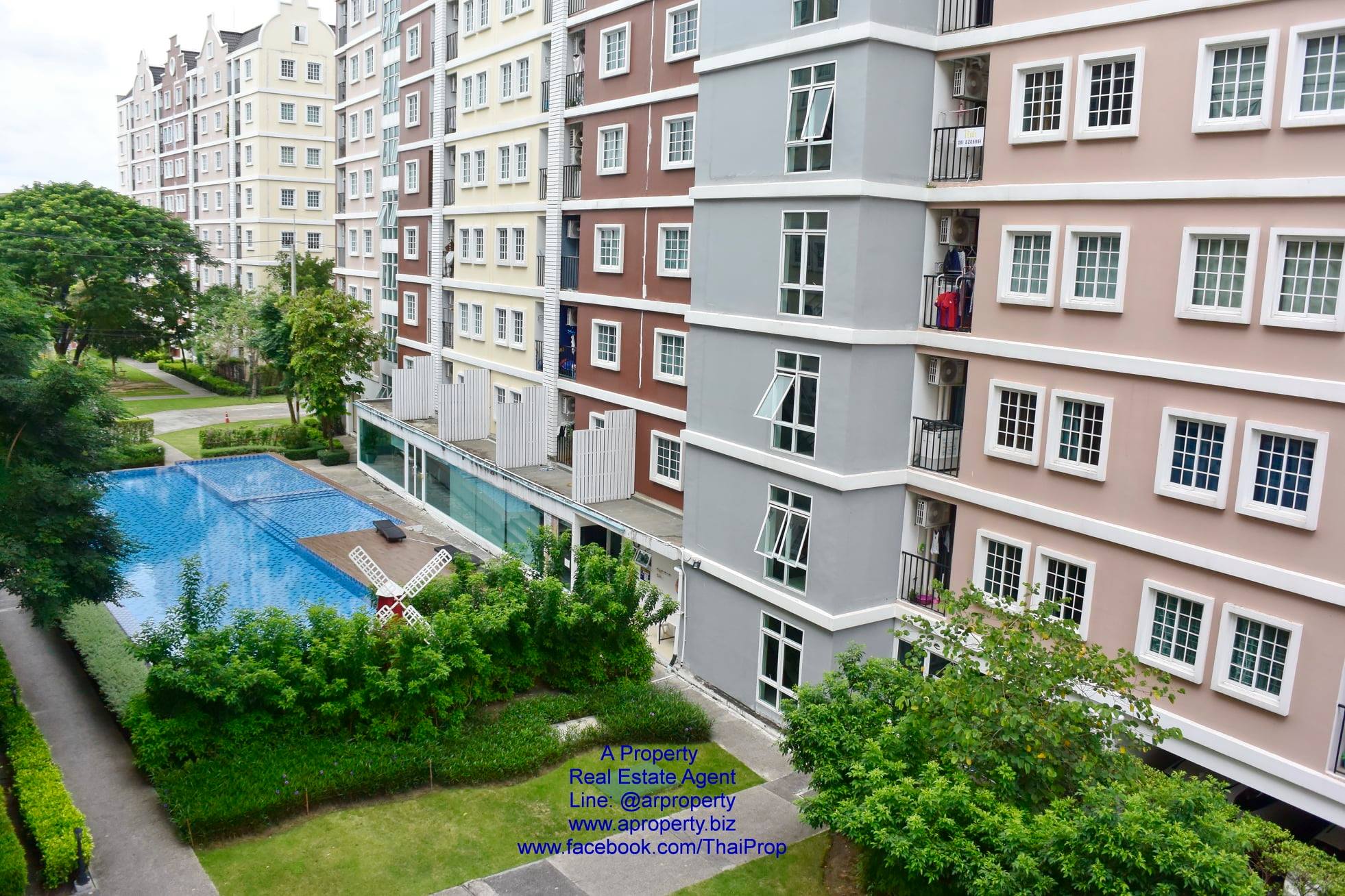 ให้เช่าทิวลิป สแควร์ อ้อมน้อย วิวสระ