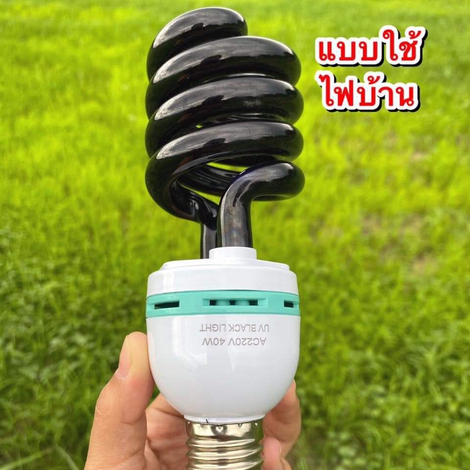 หลอดไฟ ล่อแมลง ต่อกับไฟบ้าน 220V BLACKLIGHT UVA