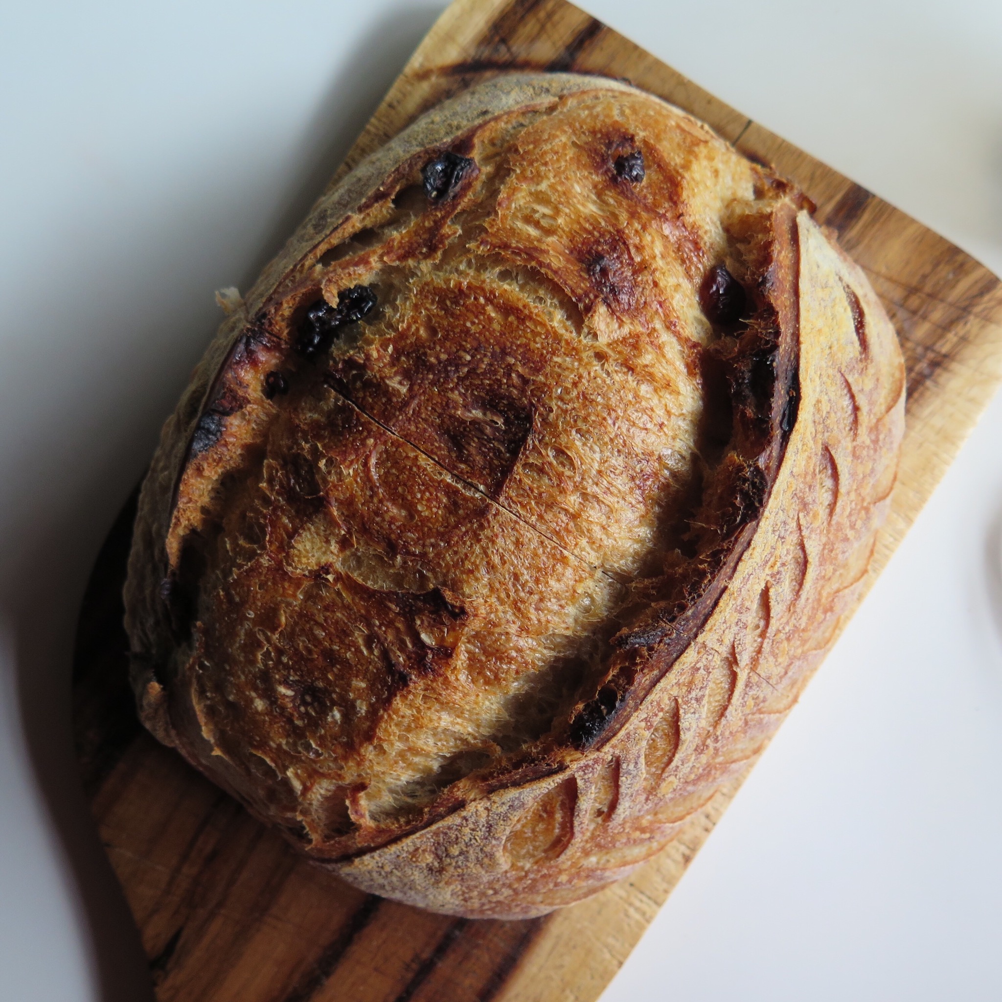 Ⓥ Cranberry Sourdough (16% Whole Wheat)