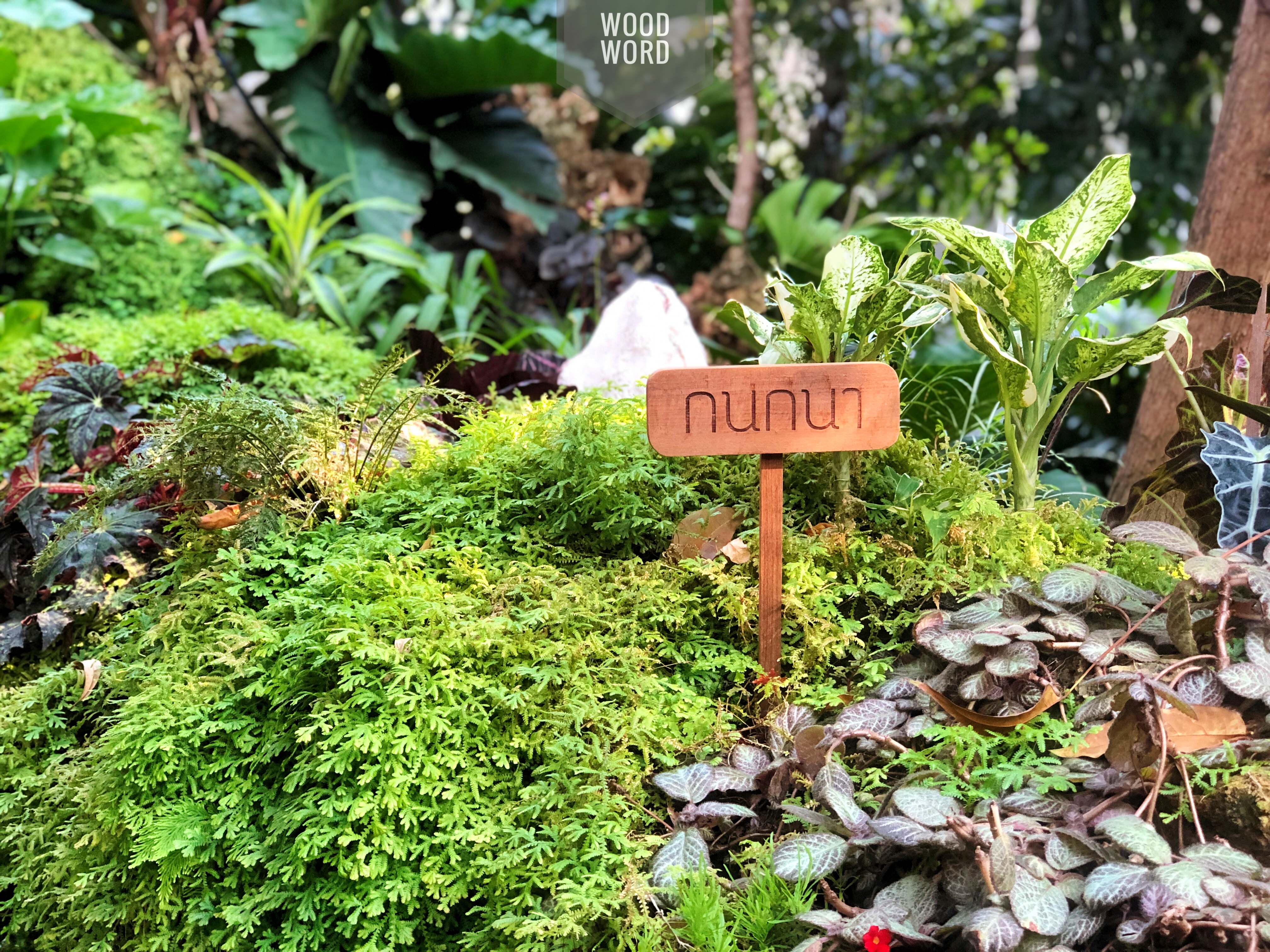 ป้ายชื่อต้นไม้