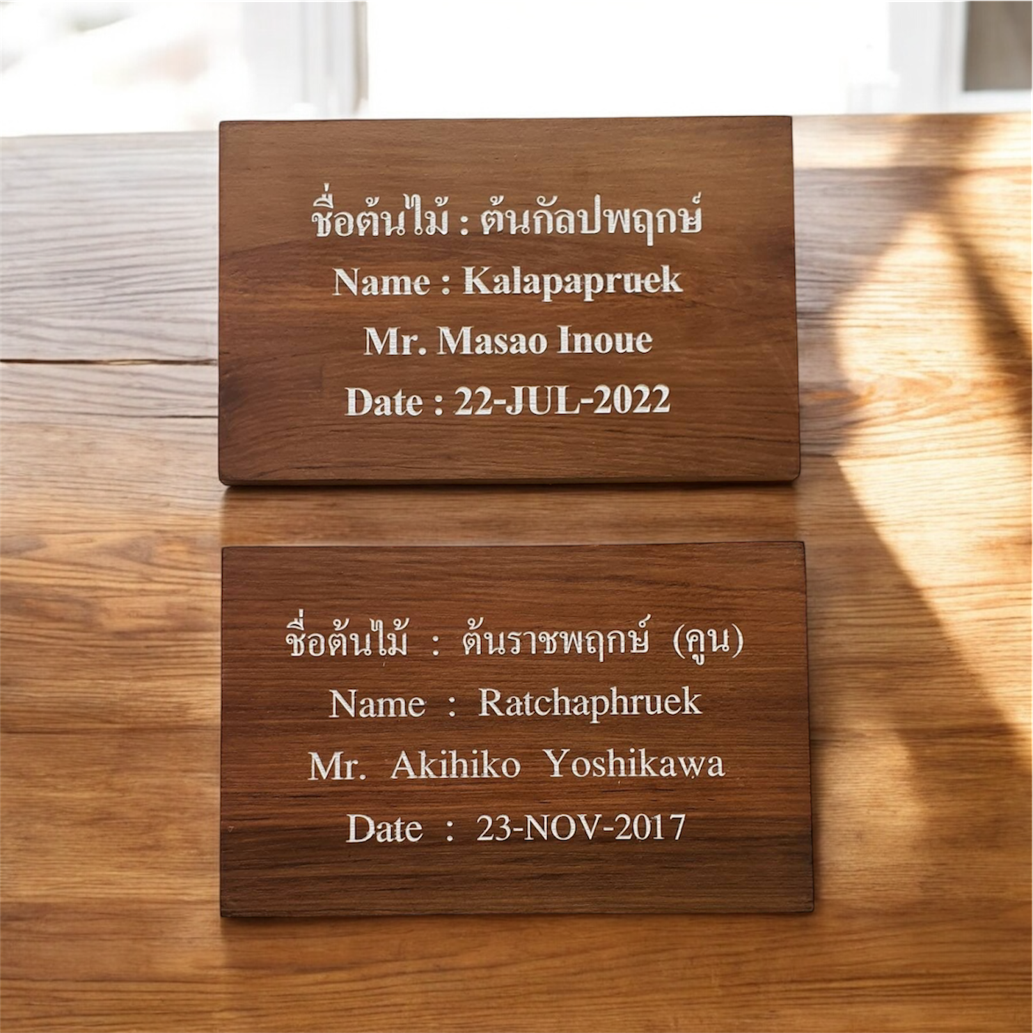 ป้ายชื่อต้นไม้