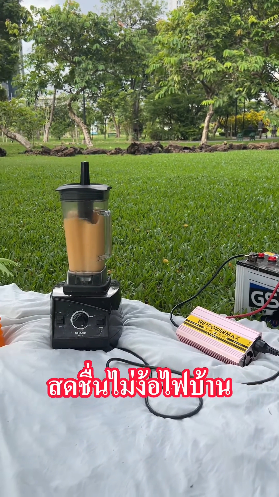 อินเวอร์เตอร์ แปลงไฟ 12V เป็น 220V ขนาด 3,000 วัตต์ ยี่ห้อ WE POWER MAX