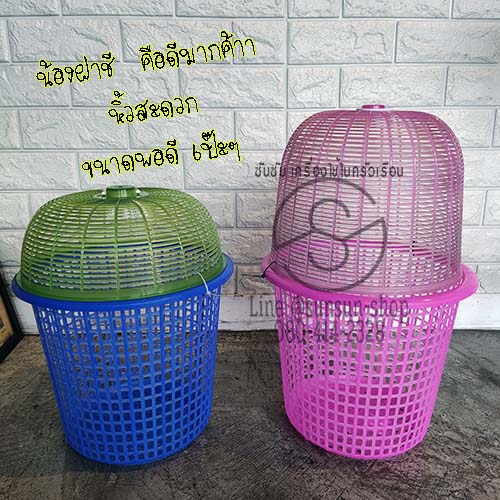 ตะกร้าใส่ต้นไม้